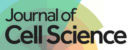 Journal of cell science logo