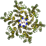 IP6 anchors the HIV capsid