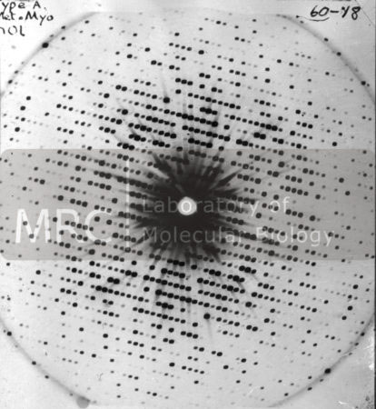 X-ray precession photograph of a myoglobin crystal, c. 1960. Published in Nobel Lecture, December 1962.  