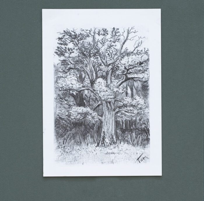 An A4 print of a forested area in black ink on white paper. There is a prominent tree in the foreground. 