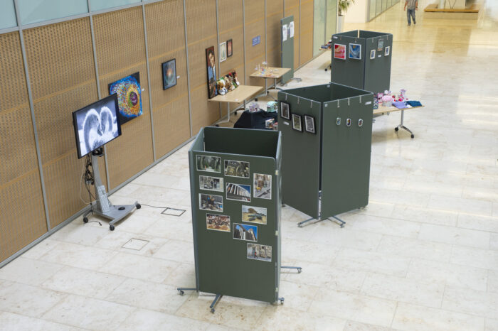 General view of the exhibition