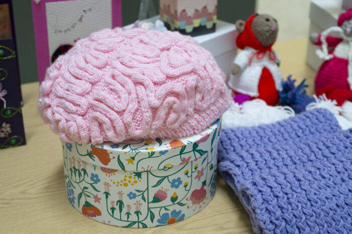 Crochet brain hat