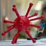 Virus sculpture by a student in Year 9 at Impington Village College