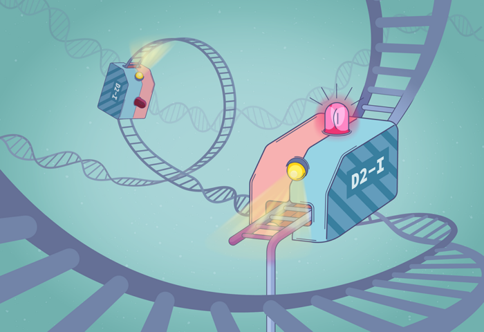 The D2-I protein is imagined as a repair train engine, travelling along DNA tracks. Where one has reached a single-stranded gap in the DNA track, it has stalled and lit an emergency alarm light.