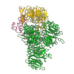 CryoEM structure of the polymerase module of CPF in complex with RNA, the PSR of Mpe1 and the yPIM of Cft2. The structure shows how Mpe1 (orange) directly contacts RNA (gray), and Cft2 (light blue) binds to the polymerase module of the yeast cleavage and polyadenylation factor (CPF).