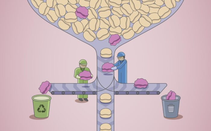 Cartoon showing two people working at a conveyer belt which is processing Pol II complexes, Aberrant Pol II complexes are being removed from the conveyer belt and placed in recycling or rubbish bins. This represents the checkpoint formed by CRL3ARMC5 ubiquitin ligase and Integrator phosphatase which controls the quality and quantity of transcription complexes on genes.