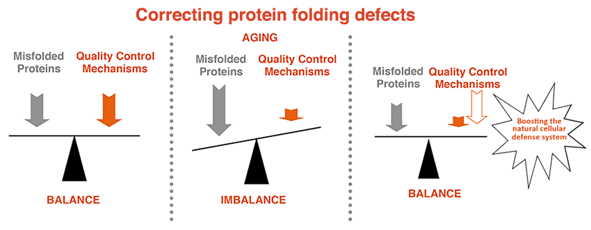 Protein-Misfolding