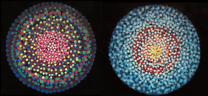 Artistic representation of embryonic stem cell aggregates. Different cellular identities are represented with different colours. Using these stem cell aggregates and mouse embryos, Marta Shahbazi’s group has discovered that contact with extracellular matrix proteins inhibits germ cell formation. Credit: Mahmood Shahbazi