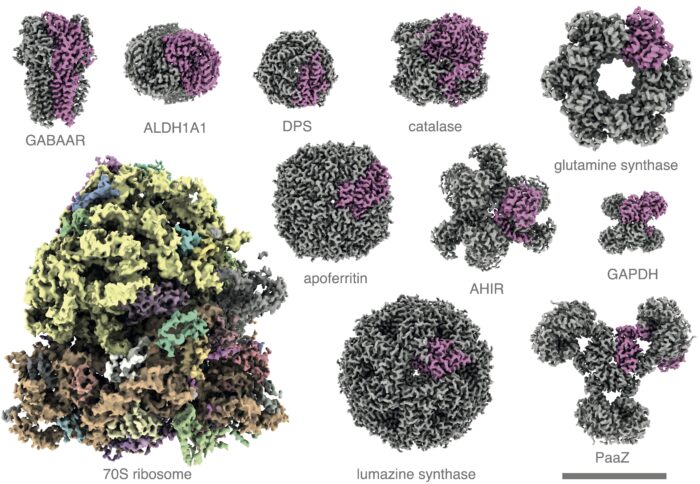 11 molecular structures, of varying complexity, which have all been solved using the new 100 keV cryo-electron microscope