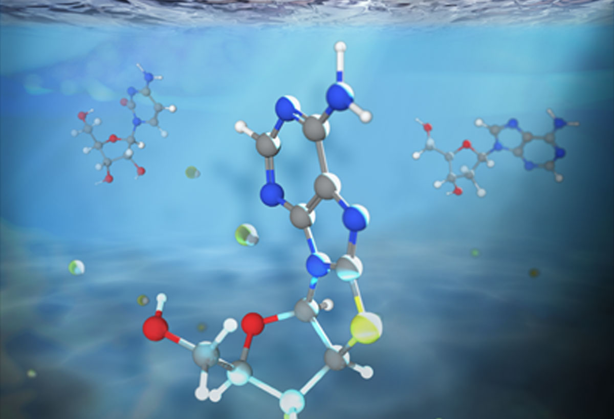 RNA and DNA building blocks can now together be synthesised in the presence of UV light, conditions potentially consistent with shallow primordial ponds and rivulets