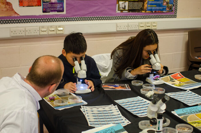 Children matching flowers, beetles, and flies with microscopic images at Big Biology Day