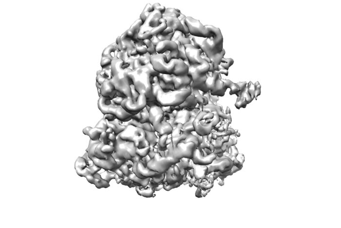 A 3D reconstruction of E. coli 70S ribosome at 100 keV