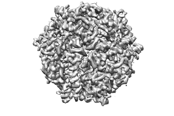 A 3D reconstruction of DPS protein at 100 keV