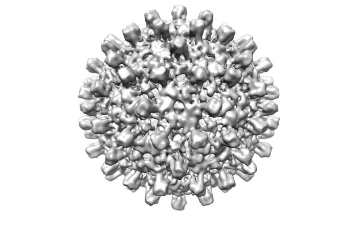 A 3D reconstruction of hepatitis B virus capsid at 100 keV