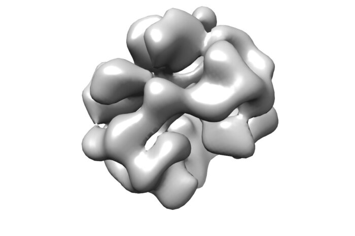 A 3D reconstruction of haemoglobin structure at 100 keV