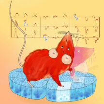 Mouse playing motor notes on collicular piano