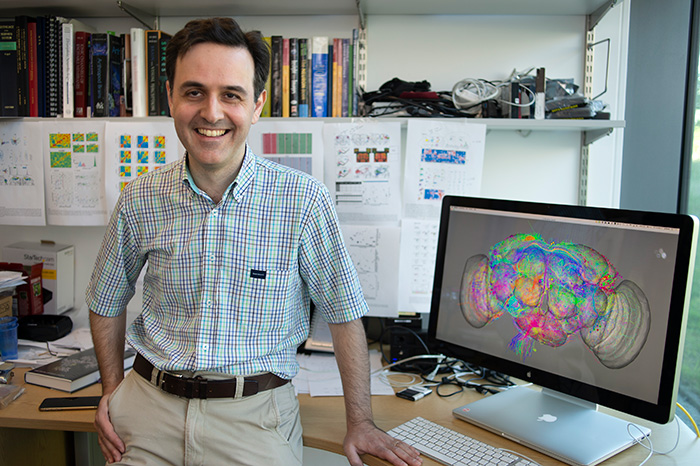 Greg Jefferis in front of his desk. A computer screen behind him shows a connectome map of a Drosophila brain.