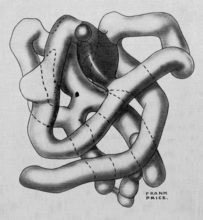 Model of the myoglobin molecule