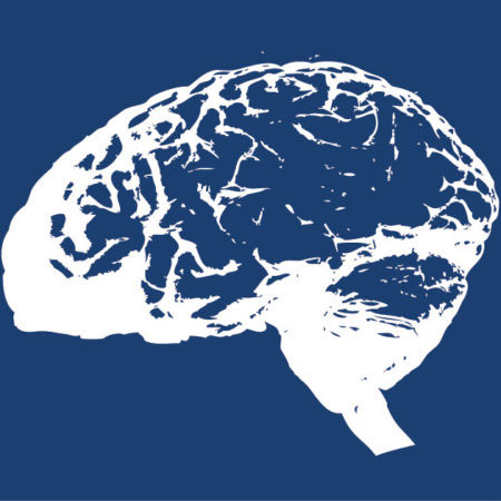 Neurobiology - MRC Laboratory Of Molecular Biology