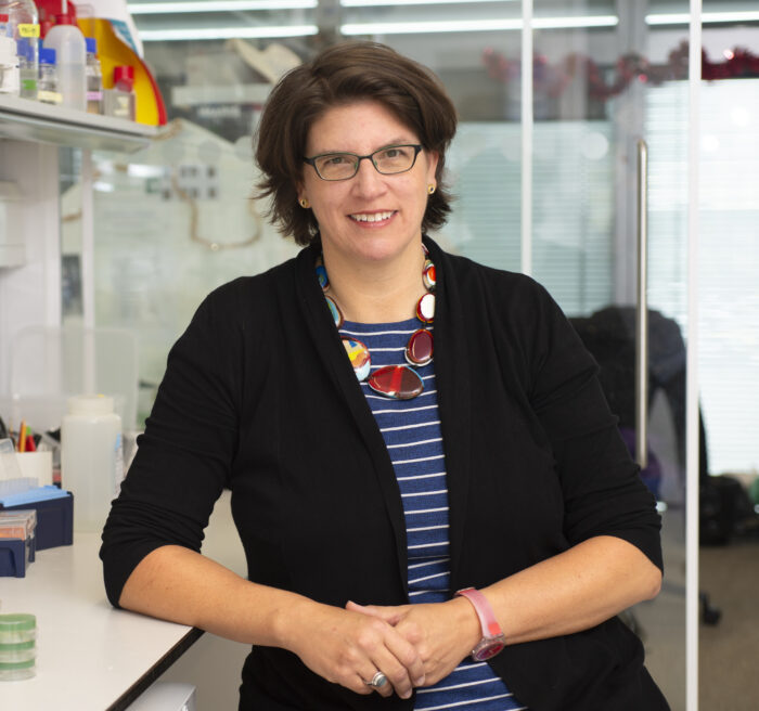 Katja Röper elected to EMBO membership MRC Laboratory of Molecular